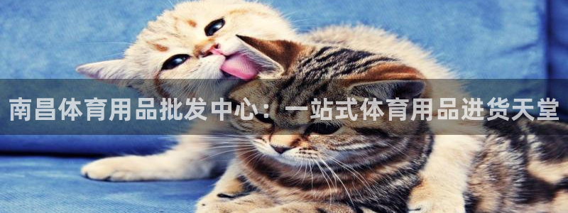 欧陆娱乐客服电话人工服务号码：南昌体育用品批发中心：