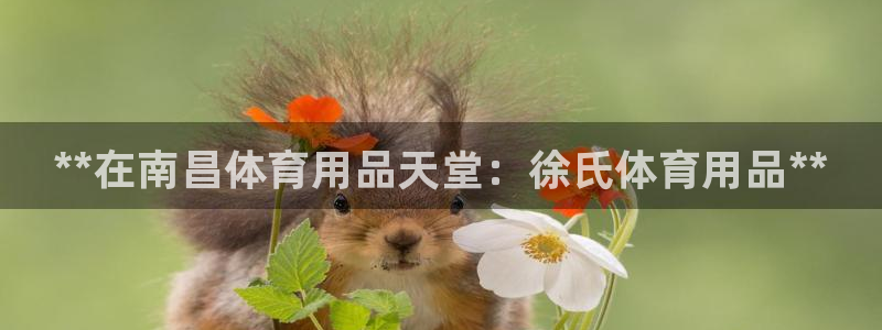 欧陆娱乐的故事有哪些：**在南昌体育用品天堂：徐氏体育用品*