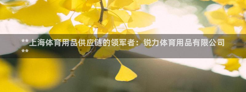 欧陆娱乐注册链接：**上海体育用品供应链的领军者：锐