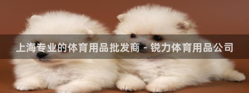 欧陆娱乐测速：上海专业的体育用品批发商 - 锐力体育