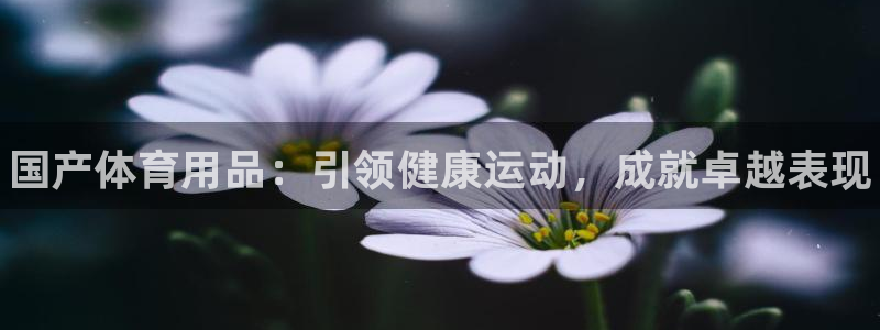 欧陆娱乐官网下载安装苹果：国产体育用品：引领健康运动