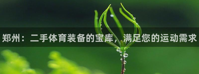 欧陆娱乐平台官网入口：郑州：二手体育装备的宝库，满足