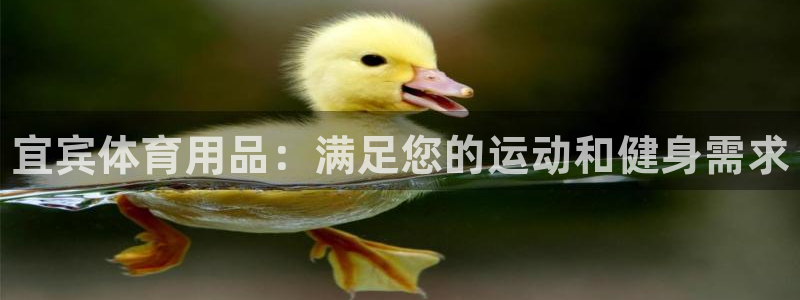 欧陆娱乐息7o777ts=0：宜宾体育用品：满足您的