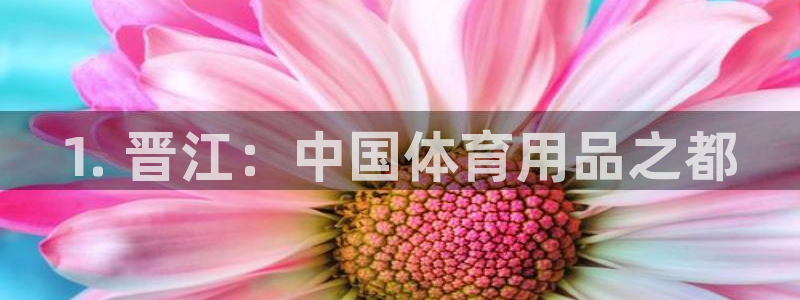 欧陆娱乐代理多少个点位可以赚钱：1. 晋江：中国体育用品之都