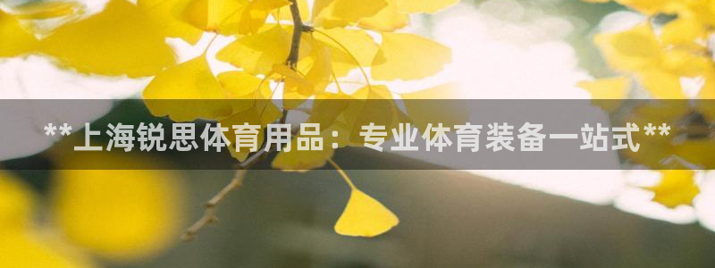 欧陆娱乐分分彩：**上海锐思体育用品：专业体育装备一站式**