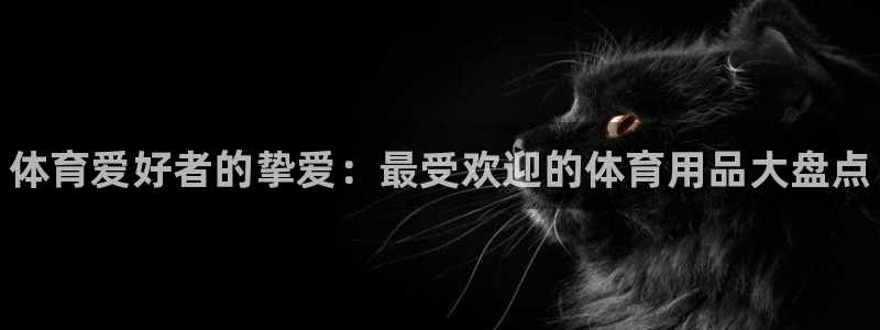 欧陆娱乐客服电话号码：体育爱好者的挚爱：最受欢迎的体育用品大