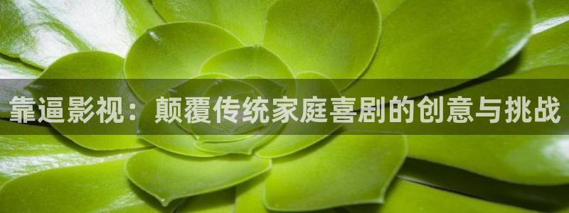 熊猫滚滚4d电影