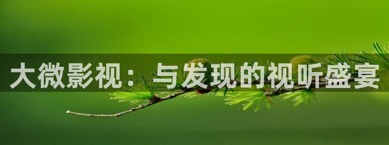 南京熊猫电视