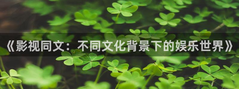 熊猫电视的价格