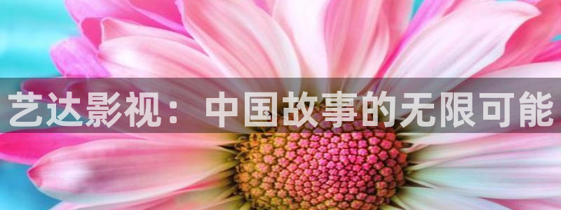 熊猫电影网
