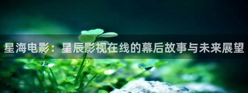 熊猫电视专卖