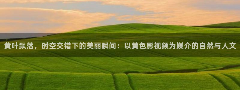 熊猫电影在线看