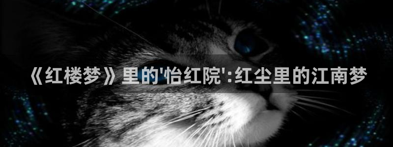 9.1熊猫电影网