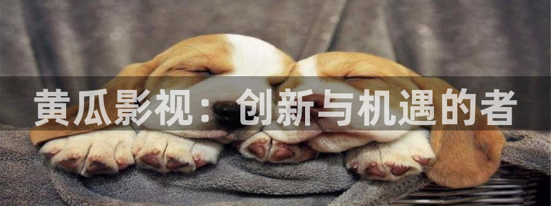 中华熊猫影视投资