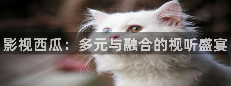 熊猫旅行